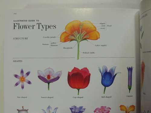 FLORA`S Trees and Shrubs - Illustrated A-Z of Over 8500 PlantsChief Consultant Tony Rodd
