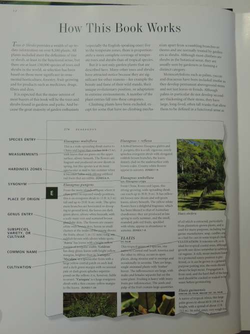 FLORA`S Trees and Shrubs - Illustrated A-Z of Over 8500 PlantsChief Consultant Tony Rodd