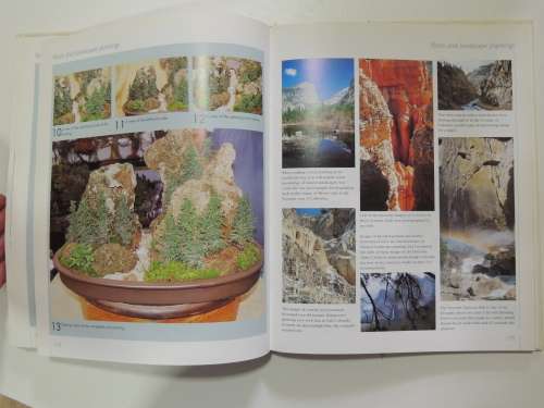 The Bonsai School - Craig Coussins