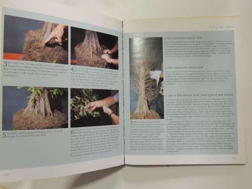 The Bonsai School - Craig Coussins