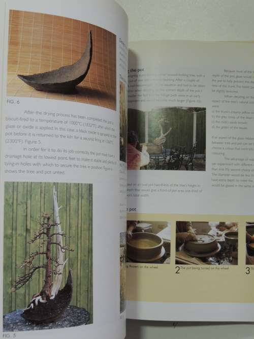 The Bonsai School - Craig Coussins