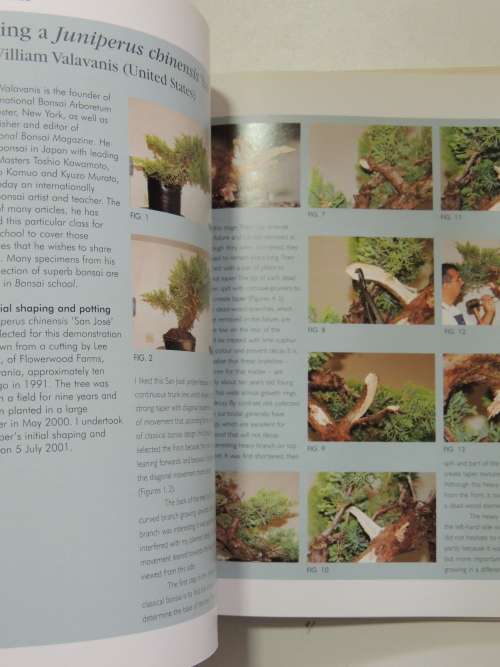The Bonsai School - Craig Coussins
