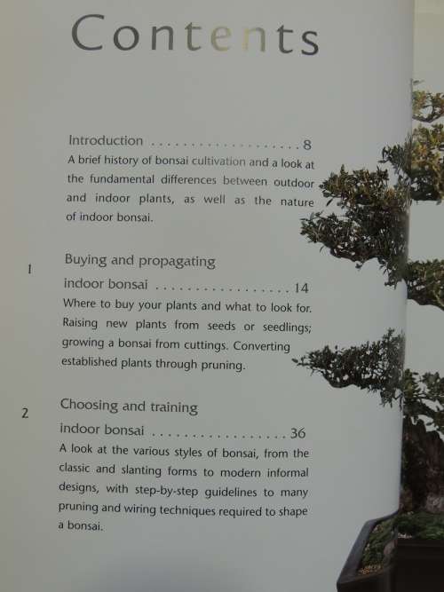 Successful Bonsai - Raising Exotic Miniature Trees in Your Home - David Squire