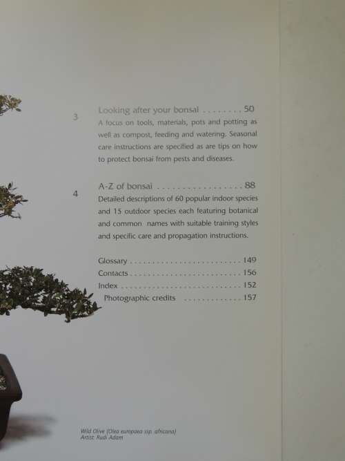 Successful Bonsai - Raising Exotic Miniature Trees in Your Home - David Squire