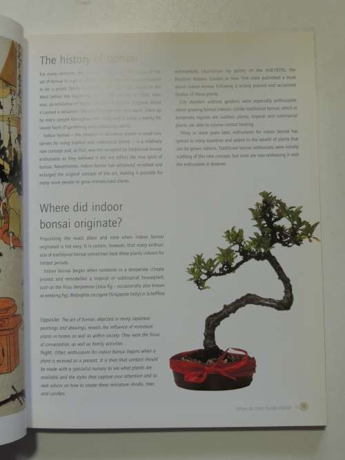 Successful Bonsai - Raising Exotic Miniature Trees in Your Home - David Squire