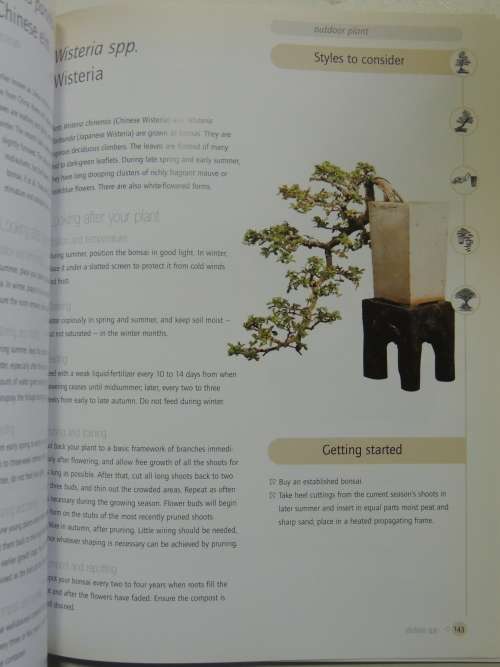 Successful Bonsai - Raising Exotic Miniature Trees in Your Home - David Squire