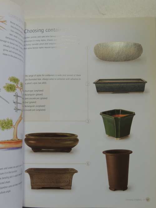 Successful Bonsai - Raising Exotic Miniature Trees in Your Home - David Squire