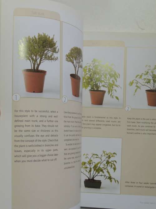 Successful Bonsai - Raising Exotic Miniature Trees in Your Home - David Squire