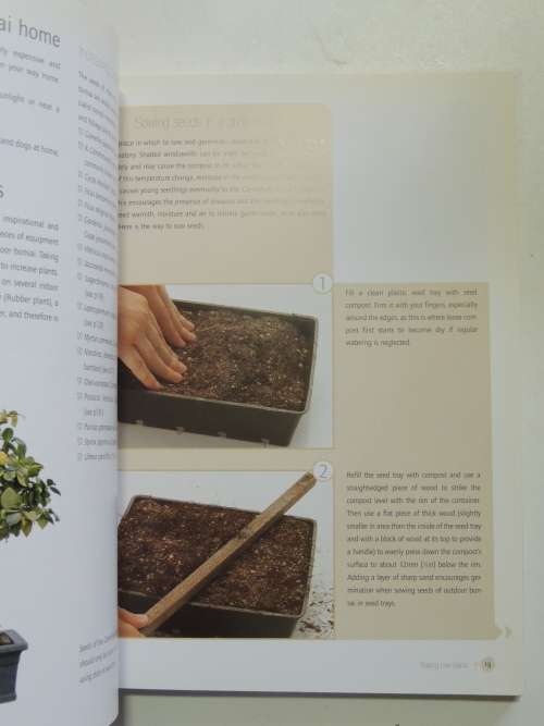 Successful Bonsai - Raising Exotic Miniature Trees in Your Home - David Squire
