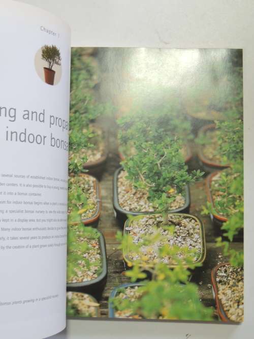 Successful Bonsai - Raising Exotic Miniature Trees in Your Home - David Squire