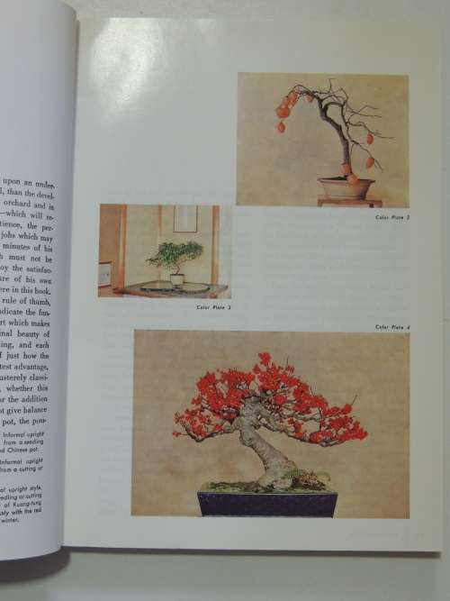 The Art of Bonsai - Creation, Care & Enjoyment - Yuji Yoshimura, Giovanna M Halford