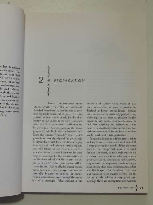 The Art of Bonsai - Creation, Care & Enjoyment - Yuji Yoshimura, Giovanna M Halford