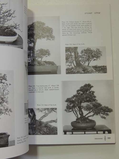 The Art of Bonsai - Creation, Care & Enjoyment - Yuji Yoshimura, Giovanna M Halford