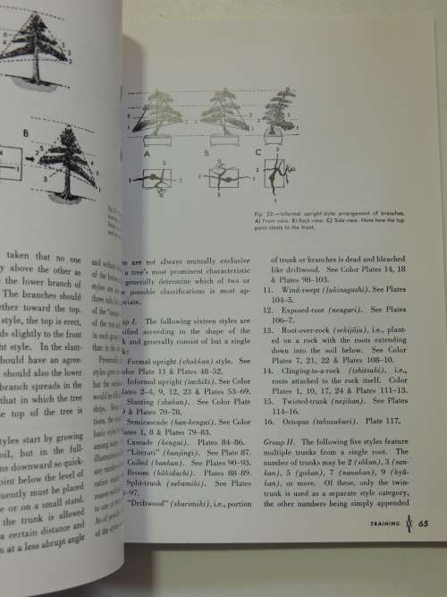 The Art of Bonsai - Creation, Care & Enjoyment - Yuji Yoshimura, Giovanna M Halford
