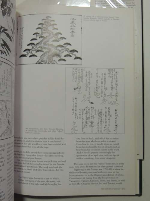Classic Bonsai of Japan - Nippon Bonsai Association