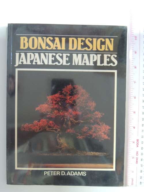 Bonsai Design Japanese Maples - Peter D Adams