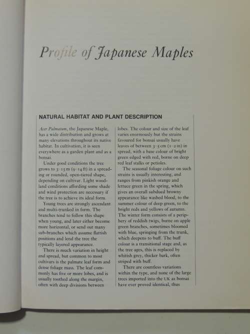 Bonsai Design Japanese Maples - Peter D Adams