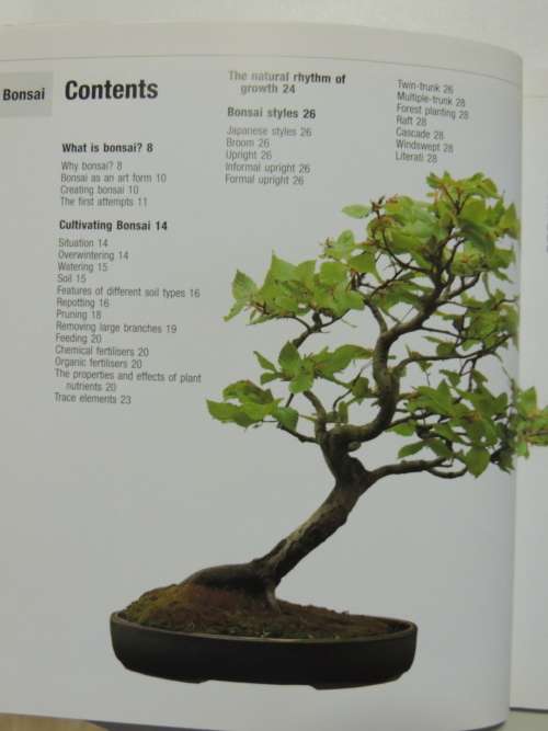 Bonsai from Native Trees and Shrubs - Werner M Busch