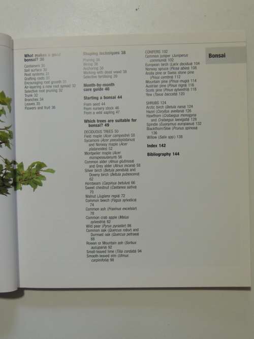 Bonsai from Native Trees and Shrubs - Werner M Busch