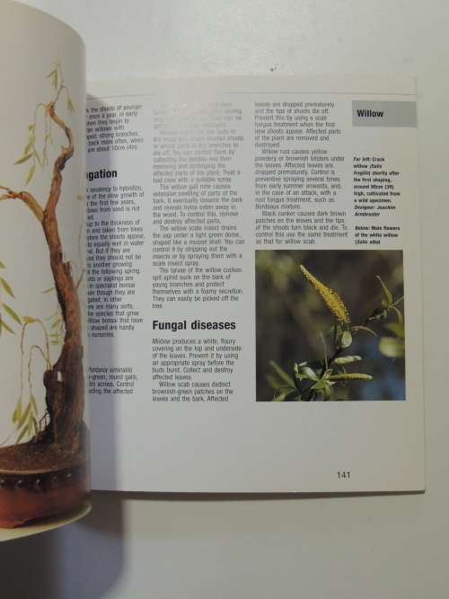 Bonsai from Native Trees and Shrubs - Werner M Busch