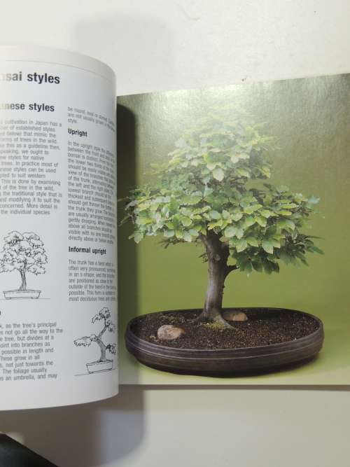 Bonsai from Native Trees and Shrubs - Werner M Busch