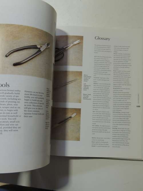 Bonsai - A Care ManualColin Lewis