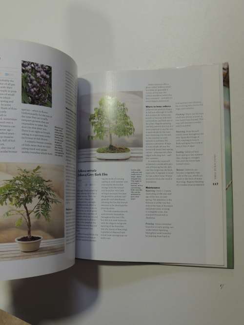 Bonsai - A Care ManualColin Lewis