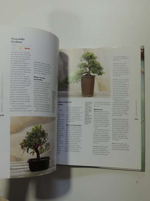 Bonsai - A Care ManualColin Lewis