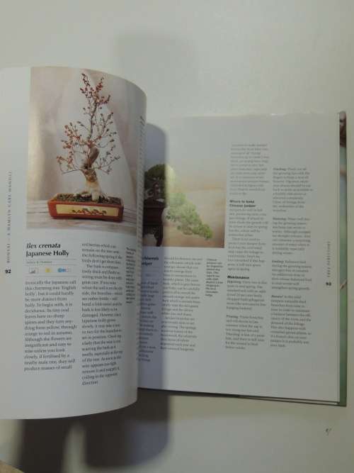 Bonsai - A Care ManualColin Lewis