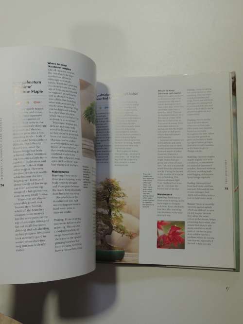 Bonsai - A Care ManualColin Lewis