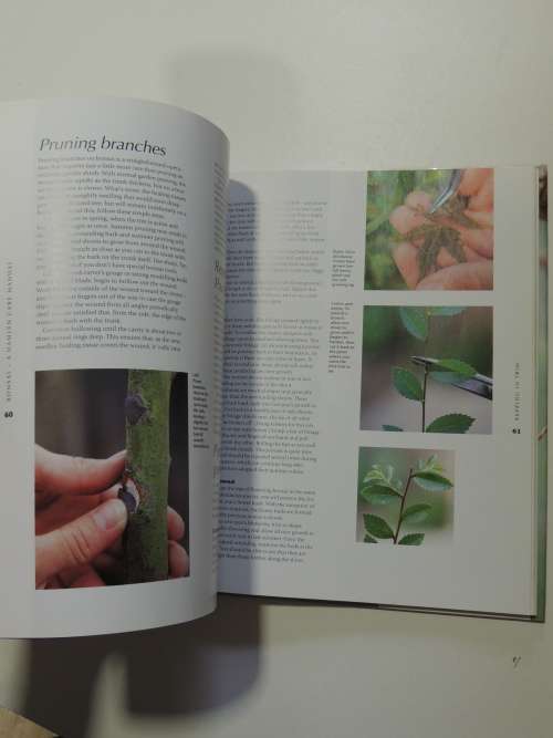 Bonsai - A Care ManualColin Lewis