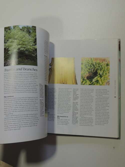 Bonsai - A Care ManualColin Lewis