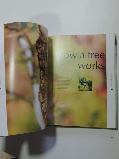 Bonsai - A Care ManualColin Lewis