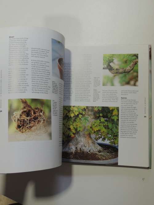 Bonsai - A Care ManualColin Lewis