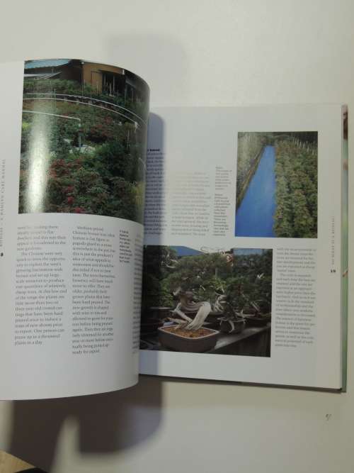 Bonsai - A Care ManualColin Lewis