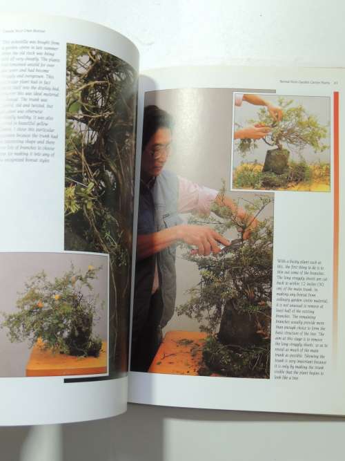 Create your Own Bosai with Everyday Garden PlantsPeter Chan