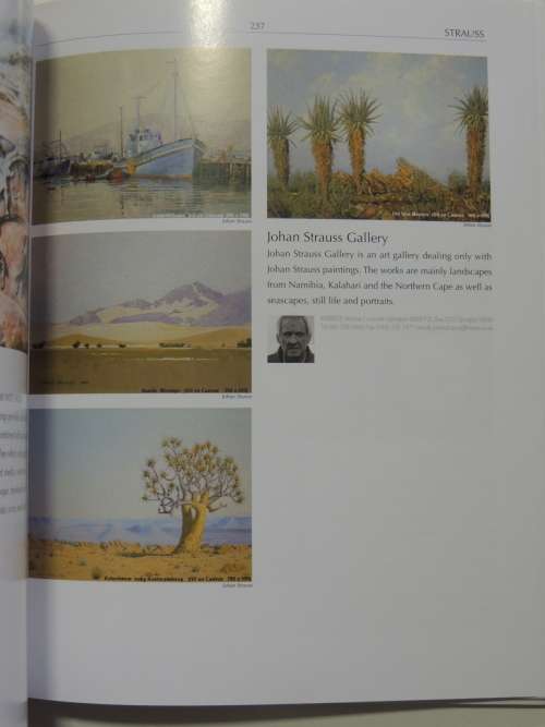 The Collectors Guide to Art and Artists in South Africa - A Visual Journey into ...of 369 Artists
