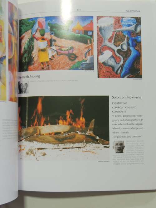 The Collectors Guide to Art and Artists in South Africa - A Visual Journey into ...of 369 Artists