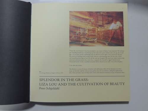 Liza Lou         ART/CRAFT