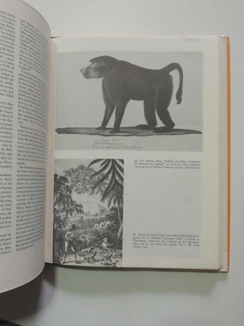 Pioneer Travellers in South Africa - Vernon S. Forbes