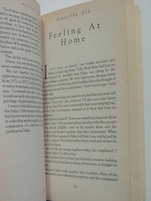 Healing Quest - A Journey of Transformation - Marie Herbert