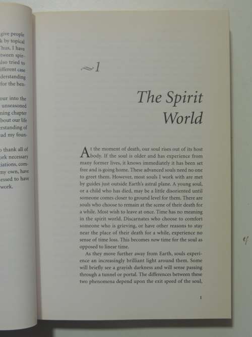 Destiny of Souls - New Case Studies of Lives Between Lives - Michael Newton