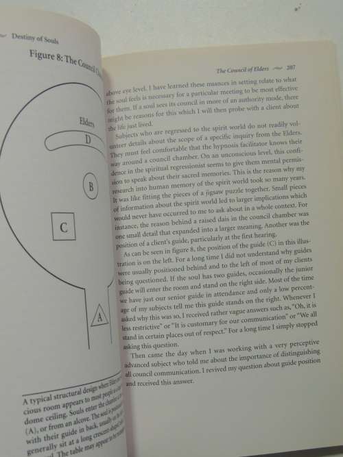 Destiny of Souls - New Case Studies of Lives Between Lives - Michael Newton