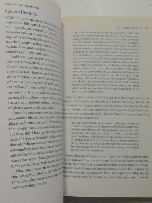 Destiny of Souls - New Case Studies of Lives Between Lives - Michael Newton