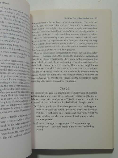 Destiny of Souls - New Case Studies of Lives Between Lives - Michael Newton