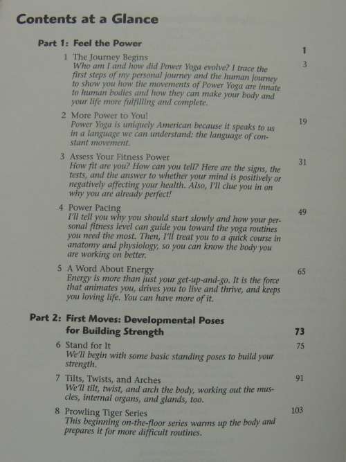 The Complete Idiot`s Guide to POWER YOGA - Geo Takoma, Eve Adamson