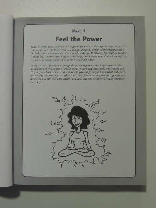 The Complete Idiot`s Guide to POWER YOGA - Geo Takoma, Eve Adamson