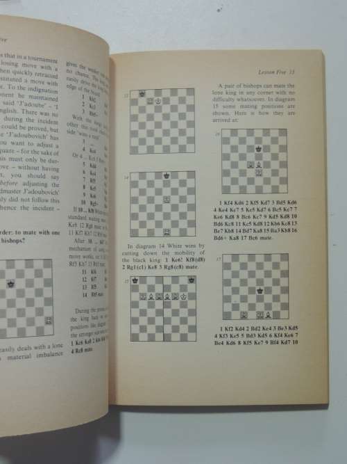 From Beginner to Expert in 40 Lessons - Chess - Aleksander Kostyev