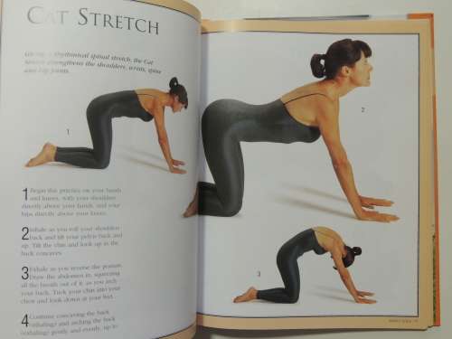Simply Yoga - Yolanda Pettinato