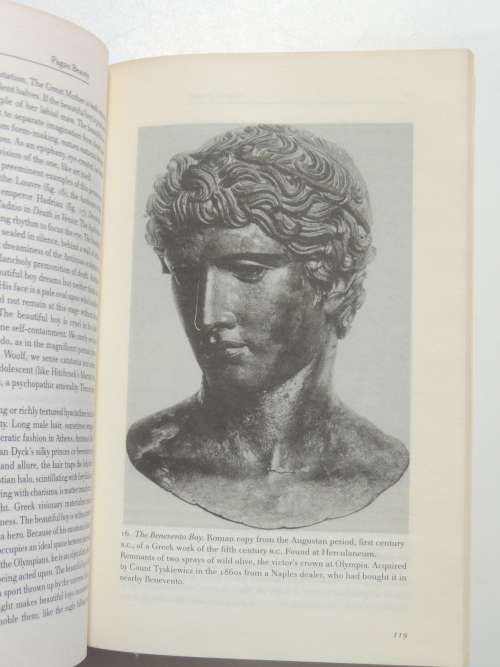 Sexual Personae - Art And Decadence From Nefertiti To Emily Dickinson - Camille Paglia